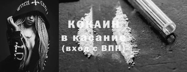 твердый Бородино