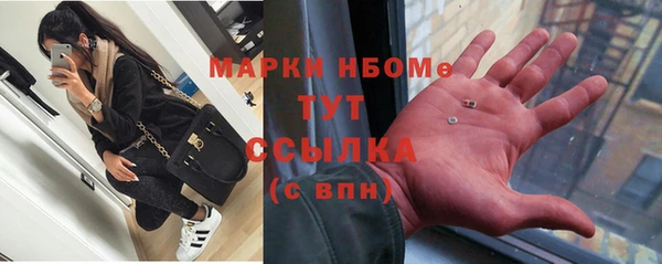 твердый Бородино