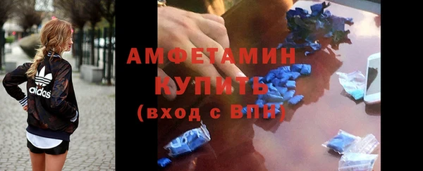 твердый Бородино