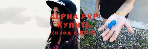 винт Бронницы