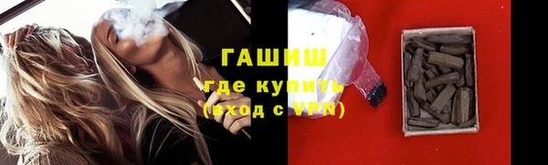 твердый Бородино