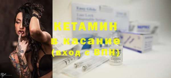 твердый Бородино