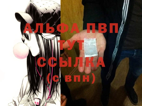 твердый Бородино
