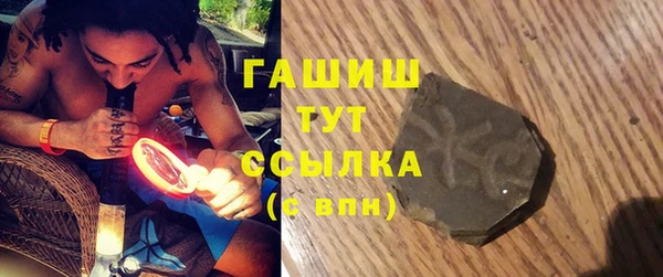 твердый Бородино