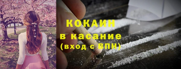 твердый Бородино