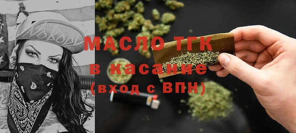 твердый Бородино