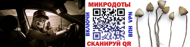Псилоцибиновые грибы GOLDEN TEACHER  Купить закладки  Саяногорск 
