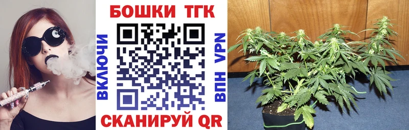 Бошки Шишки конопля  Купить где  Саяногорск 